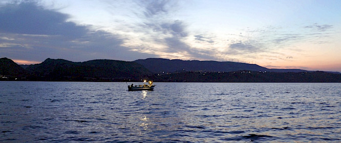 2020 Road Movies GmbH