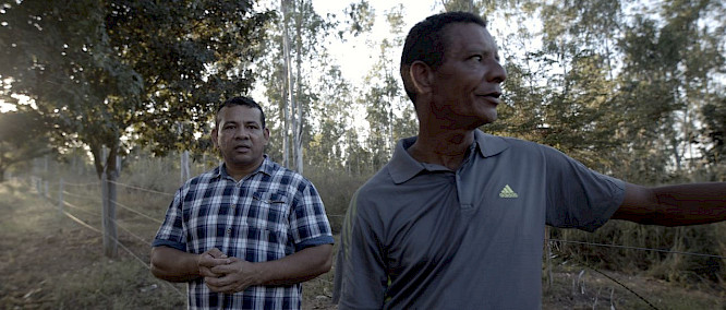 2020 DOMAR FILM GMBH