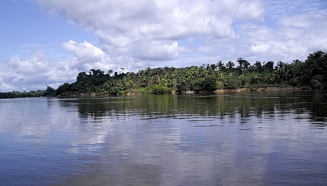 Countdown by the River Xingu