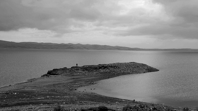 2020 TABOR Production