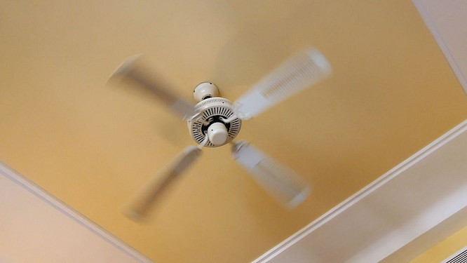 2020 Werner Biedermann