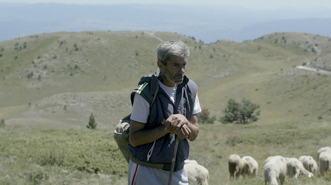 2020 Wood Water Films