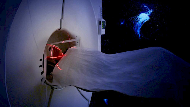 2020 Umbrella Films | New Docs