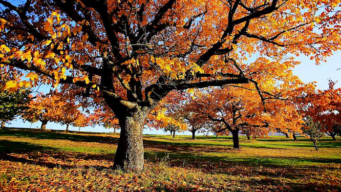 2020 Steffen Sailer, Alexandra Sailer