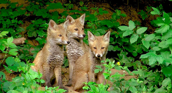 2020 Steffen Sailer, Alexandra Sailer