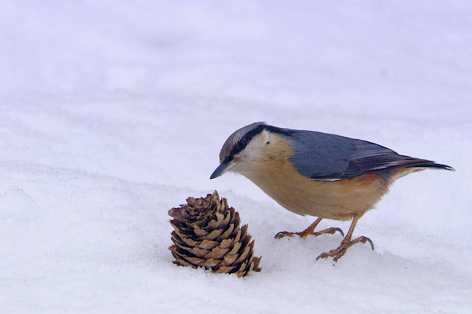 2020 Steffen Sailer, Alexandra Sailer