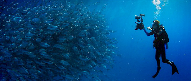 2020 Bauderfilm | Boris Weiffenbach