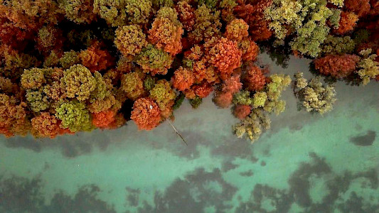 JEWELS OF THE SOUTHERN ALPS