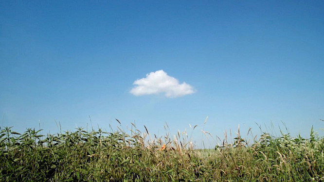 2020 KOBERSTEIN FILM