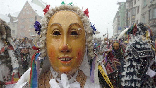 NARREN &ndash; FOOLS