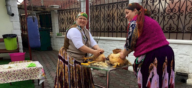 2020 telekult Film- und Medienprod. | NEW DOCS