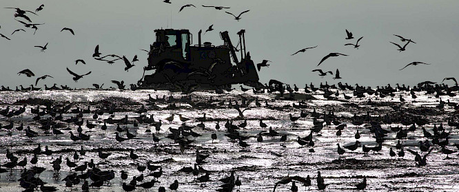 2020 Bildersturm | Windmill | RFF | Pieter-Rim de Kroon