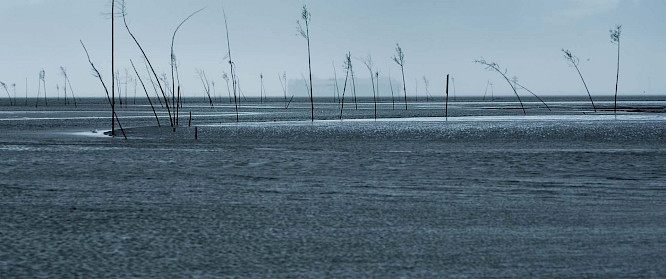 2020 Bildersturm | Windmill | RFF | Pieter-Rim de Kroon