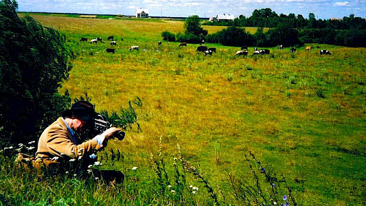 JONAS IN THE FIELDS