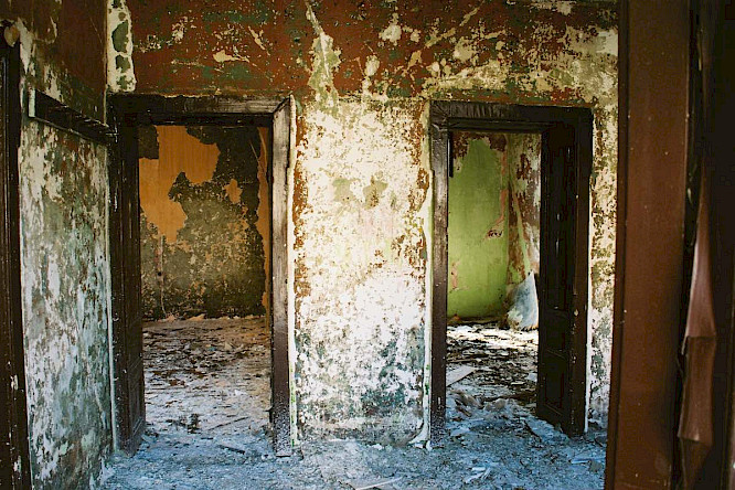 2021 Baum-Film GmbH | Coin Film GmbH