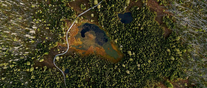 2020 Lisa Eder Film | Albatross World Sales