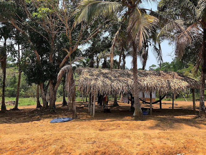 2019 RILANA film | NEW DOCS