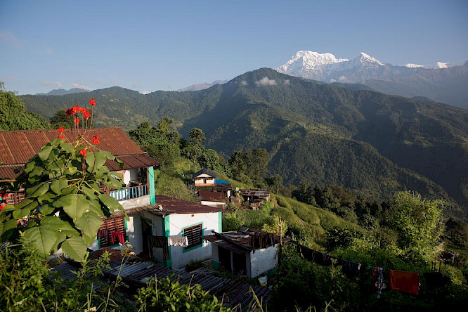 2020 telekult Film- und Medienprod. | NEW DOCS