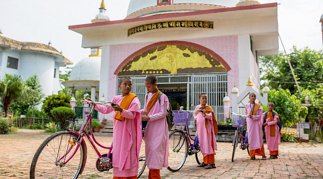 2020 Telekult | SALZGEBER