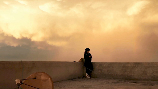 2020 Pink Shadow Films | Doppelplusultra 