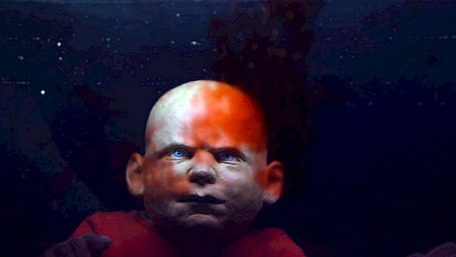 2021 Deckert Distribution