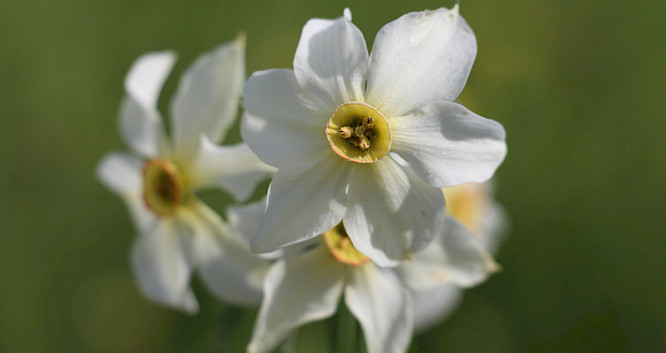 2021 City&nbsp;Media&nbsp;TV