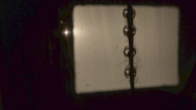 2021 Kerstin Schroedinger