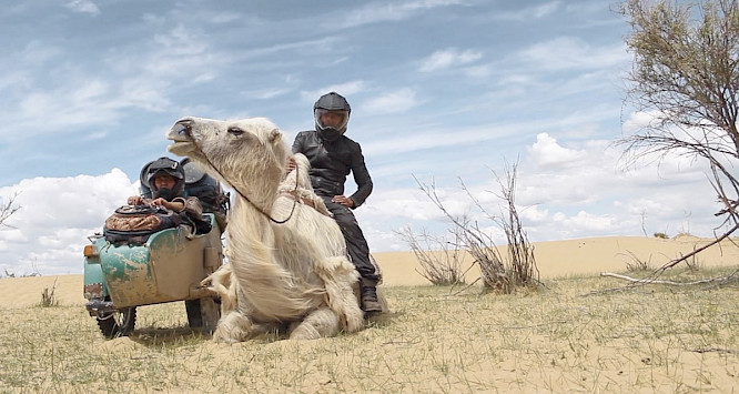 2019 leavinghomeproduktion GbR