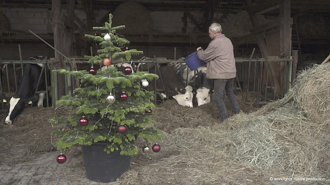 2020 worklights media production 