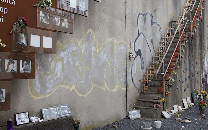 2020 PBS International | mindjazz pictures