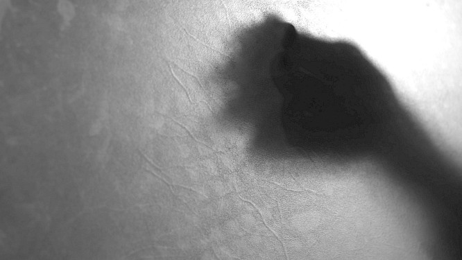 2021 HFF | Rebecca Zehr