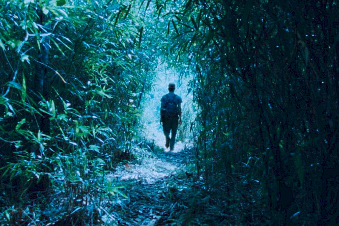 2021 Punchline Cinema