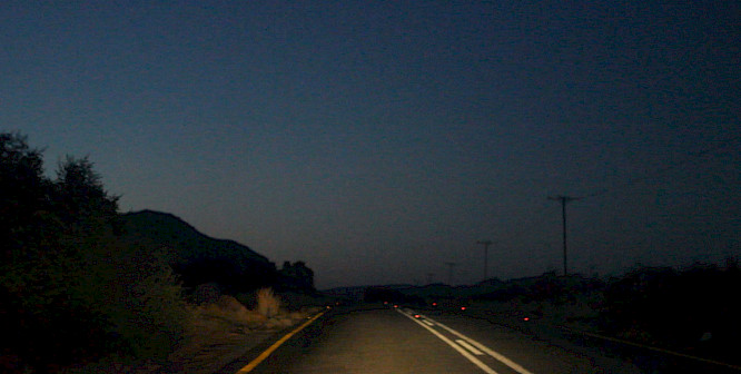 2021 Johanna Seggelke