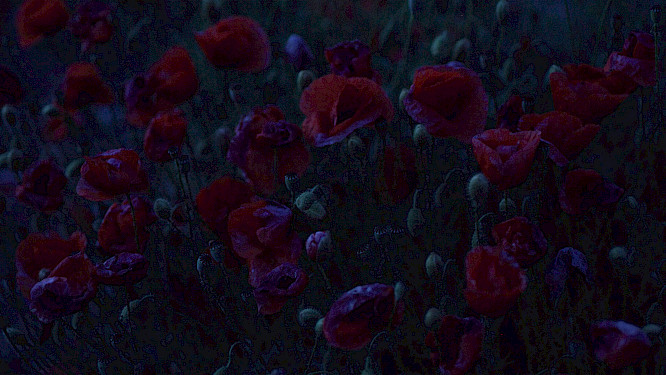 &copy; 2020 Marta Popivoda