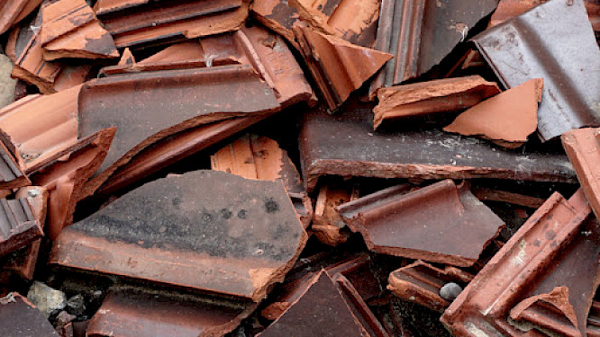 2021 Vika Kirchenbauer