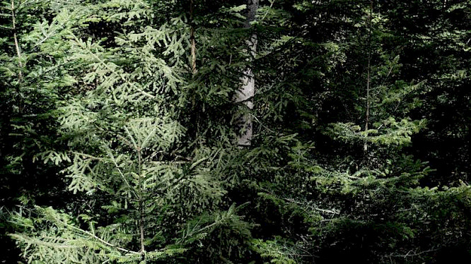 2021 Vika Kirchenbauer