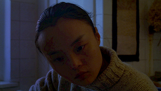 THE SONG OF THE CHRYSALIS