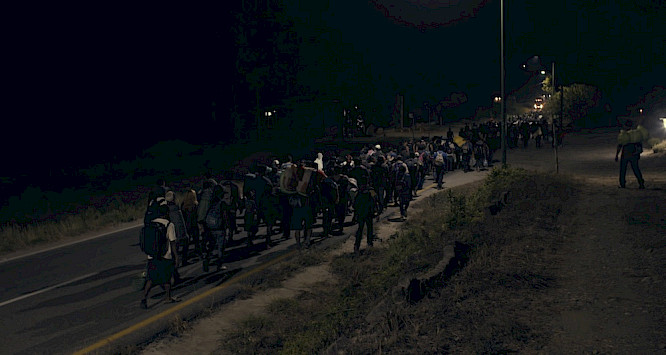 2021 Majmun Films (Berlin)