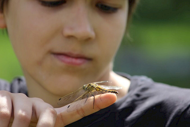 2020 Pangolin Doxx Film, RBB