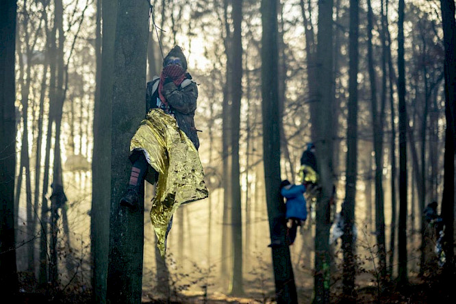 Barricade &ndash; Pictures of a Forest Occupation