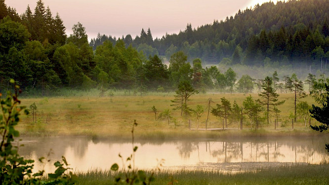 2021 Alpenway Media GmbH