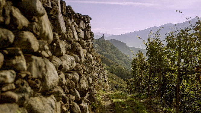 2021 Alpenway Media GmbH