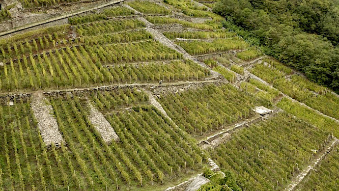 2021 Alpenway Media GmbH