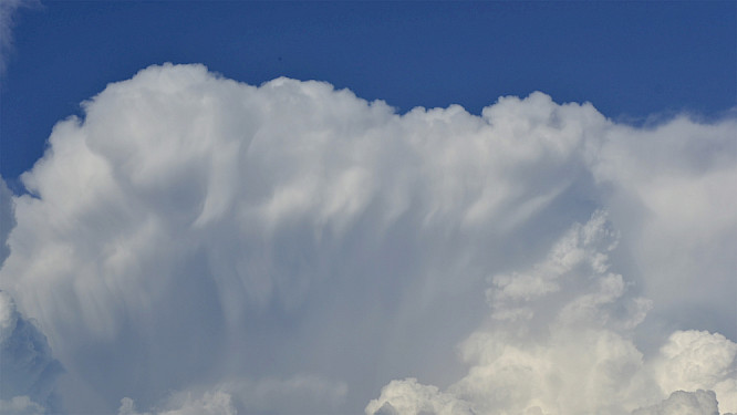 Studies at Huningue &ndash; Basel or the tree to sleep