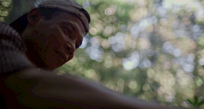 2021 Tondowski Films | Gallivant Film