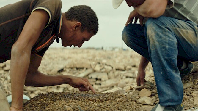 2021 MSZ | Journeyman