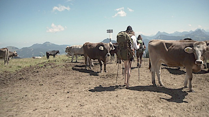 2021 Konzept+Dialog.Medien