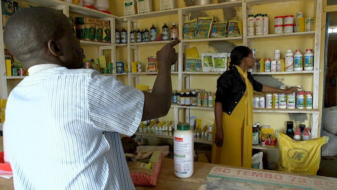 2021 ujuzi.media GmbH