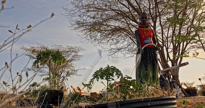 2021 ujuzi.media GmbH