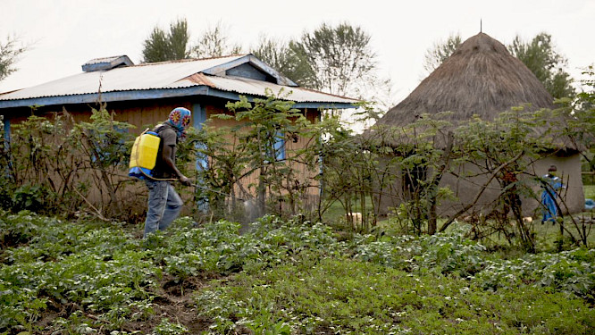 2021 ujuzi.media GmbH